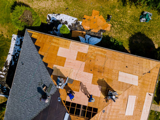 Best Roof Gutter Cleaning  in North Weeki Wachee, FL