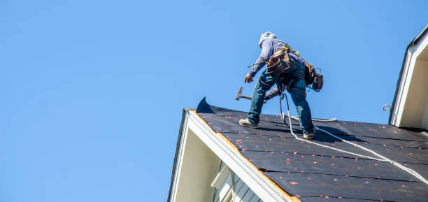 Best Gutter Installation and Roofing  in North Weeki Wachee, FL